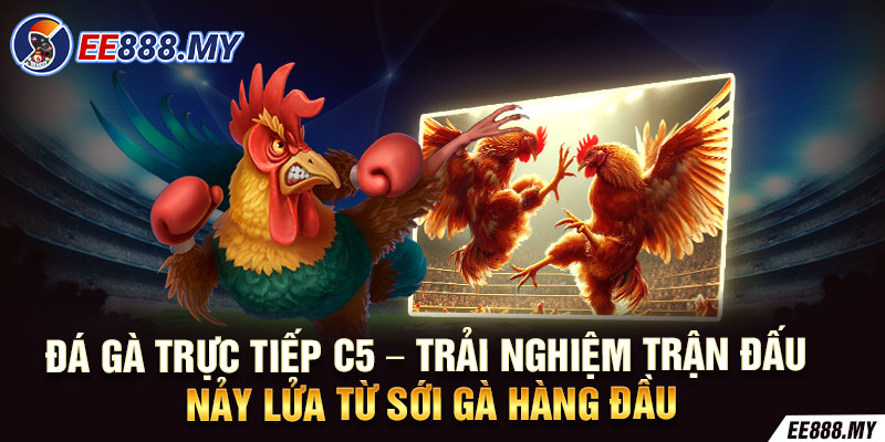 Đá Gà Trực Tiếp C5