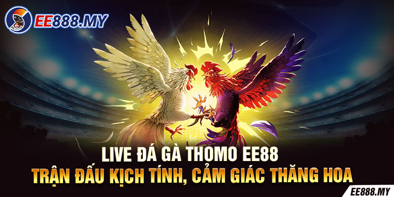 Live Đá Gà Thomo EE88